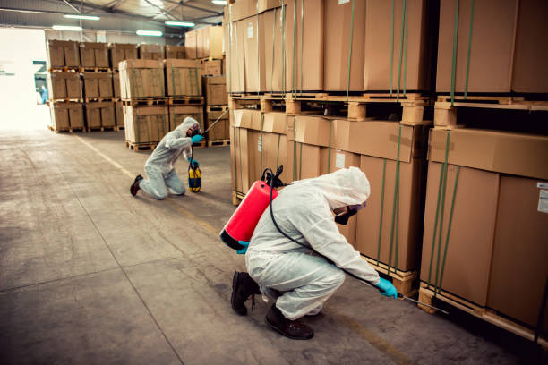Flea Control Services in Tahoe Vista, CA