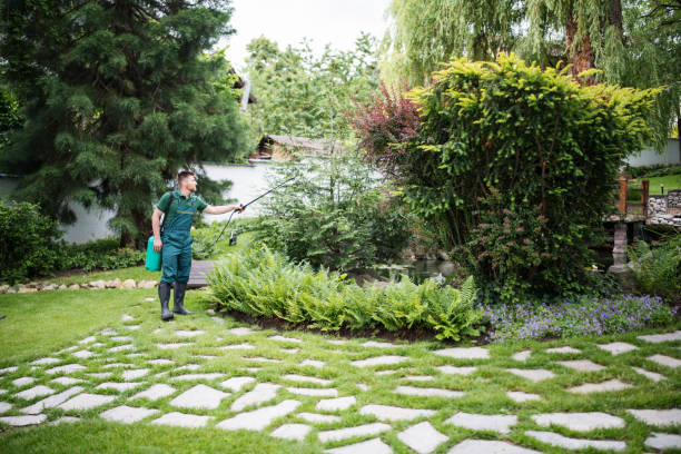 Best Pest Control Near Me  in Tahoe Vista, CA
