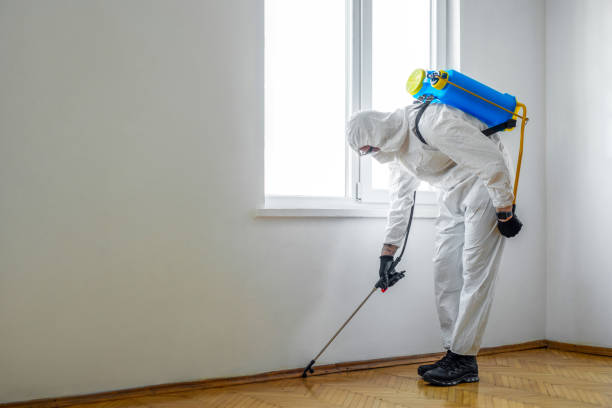 Best Pest Control Near Me in Tahoe Vista, CA