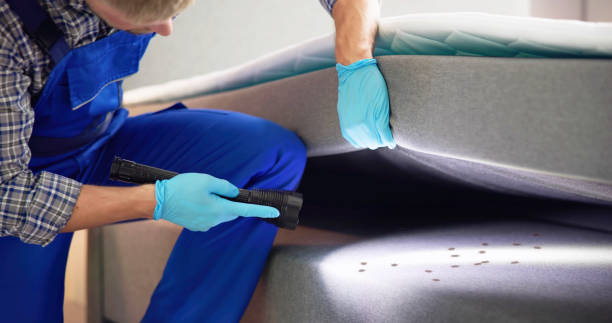 Best Flea Control Services  in Tahoe Vista, CA