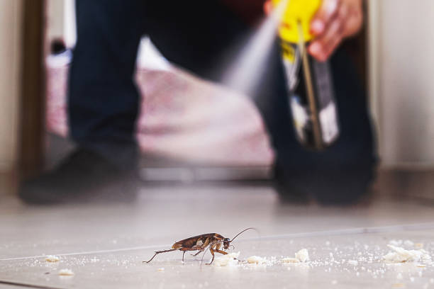 Best Local Pest Control Services  in Tahoe Vista, CA