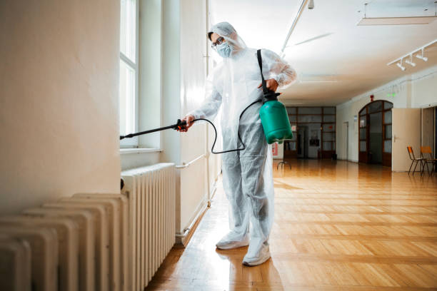 Best Insect Control  in Tahoe Vista, CA
